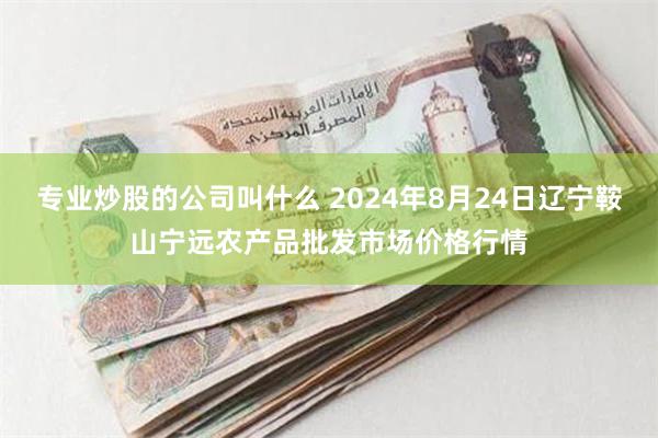 专业炒股的公司叫什么 2024年8月24日辽宁鞍山宁远农产品批发市场价格行情