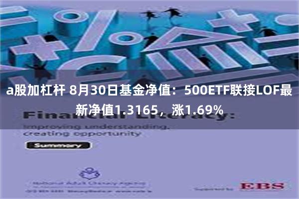 a股加杠杆 8月30日基金净值：500ETF联接LOF最新净值1.3165，涨1.69%