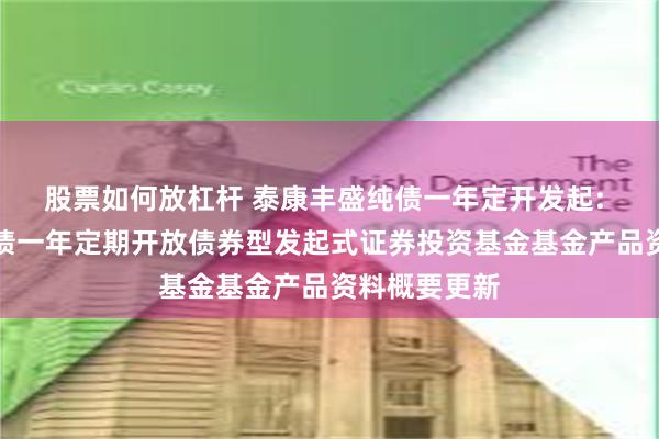 股票如何放杠杆 泰康丰盛纯债一年定开发起: 泰康丰盛纯债一年定期开放债券型发起式证券投资基金基金产品资料概要更新